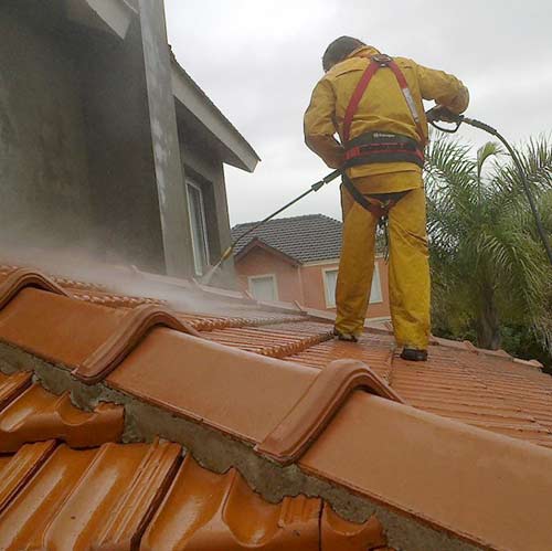 Limpieza techumbre - Control y Erradicación de Palomas